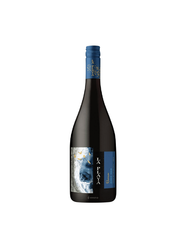 Wine "La Playa Axel Syrah" red, dry 750ml