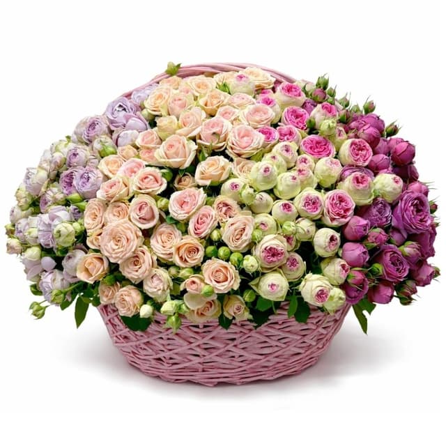 Պիոնավարդերով զամբյուղ․