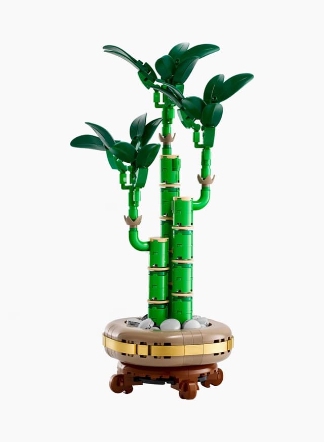 Կառուցողական խաղ Botanical collection «Հաջողակ բամբուկ»