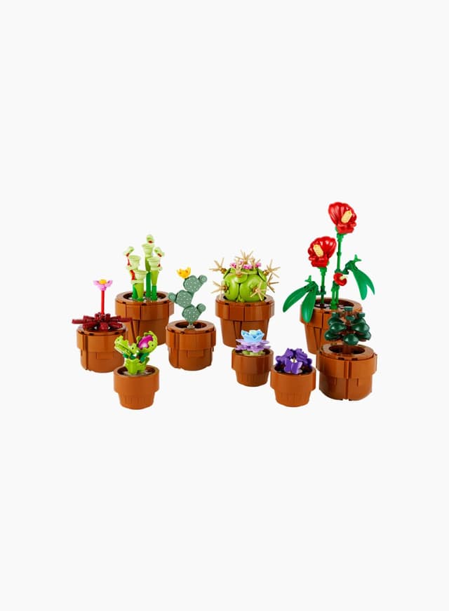 Կառուցողական խաղ BOTANICAL COLLECTION «Փոքր բույսեր»