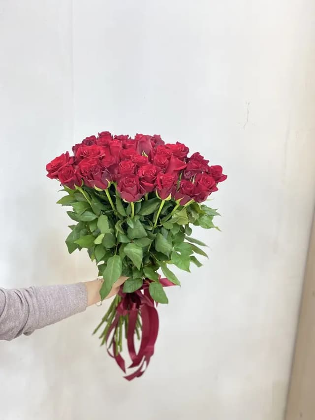 Red Dutch roses