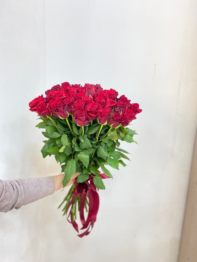 Red Dutch roses