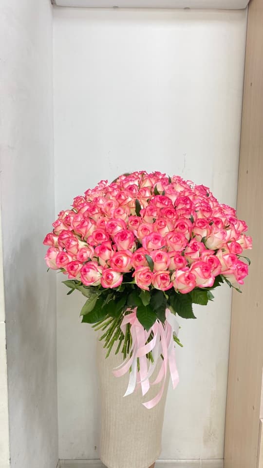 Ծաղկեփունջ  Ջումիլիա -  Flor de Star