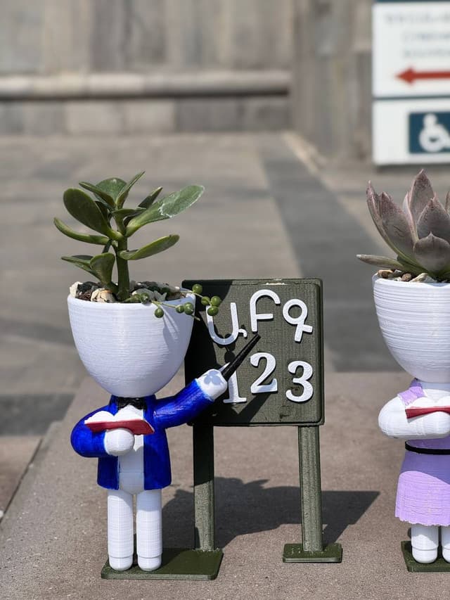 Մարդուկ ուսուցիչ - Plants Gallery