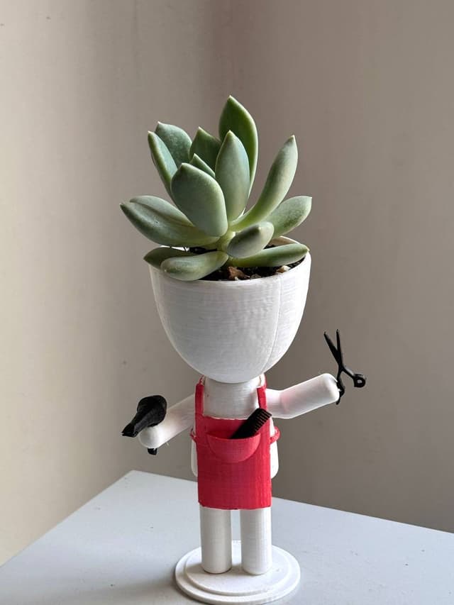 Человечек-парикмахер — Plants Gallery
