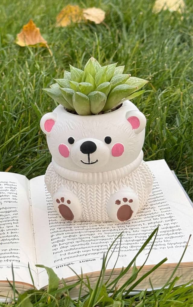 Bear Cub - Plants Gallery