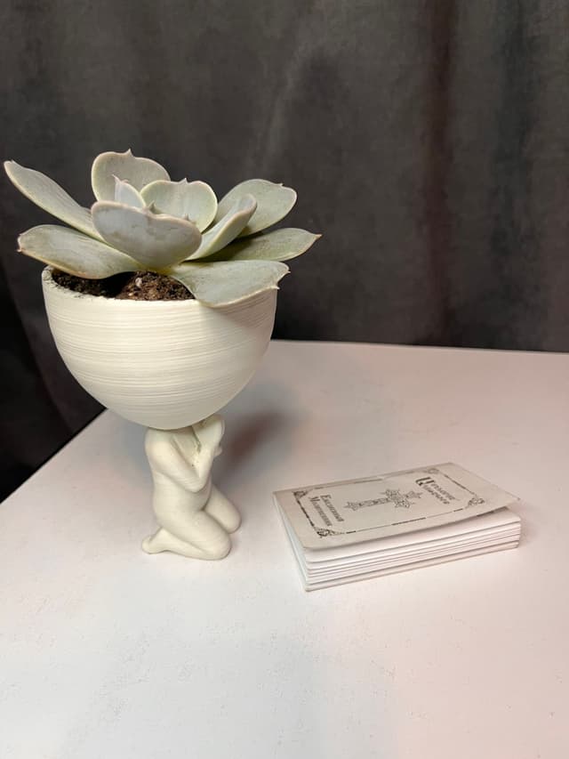 Մարդուկ 9 - Plants Gallery