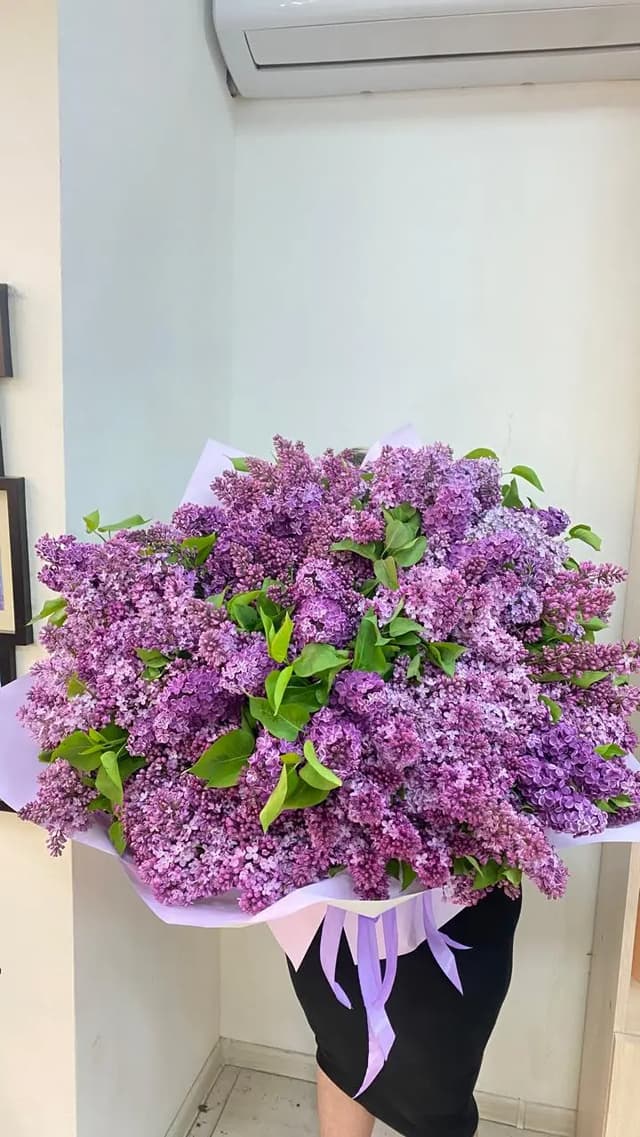 Յասաման -  Flor de Star