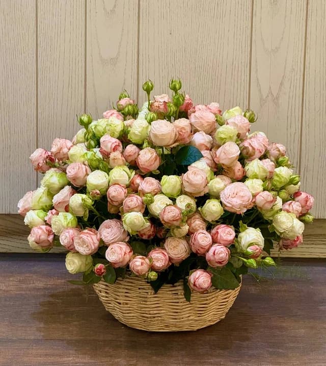 Flower Basket 13 - Avenue des Fleurs