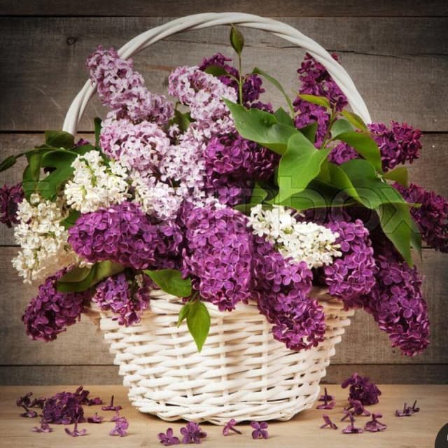 Basket with Lilacs 6 - VkusLil