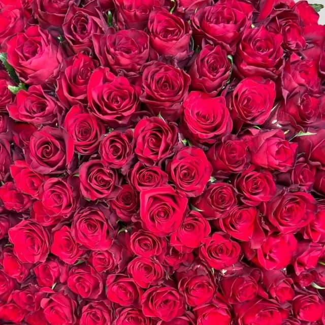 Bouquet with Dutch red roses 18-VkusLil