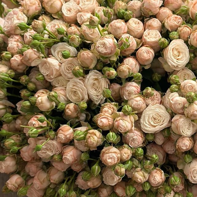 Bouquet with peony-shaped roses 19 - VkusLil