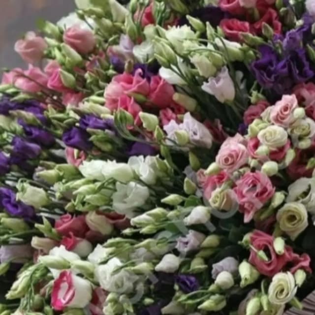 Bouquet with 20 lisianthus - VkusLil
