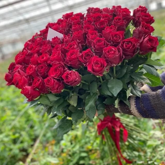 Bouquet with Dutch dark red roses 26 - VkusLil