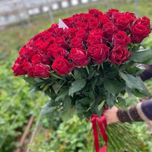 Bouquet with Dutch dark red roses 26 - VkusLil
