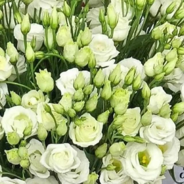 Floral arrangement Eustoma 34 - VkusLil
