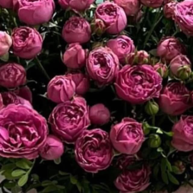 Peony-like roses in a box 39 - VkusLil