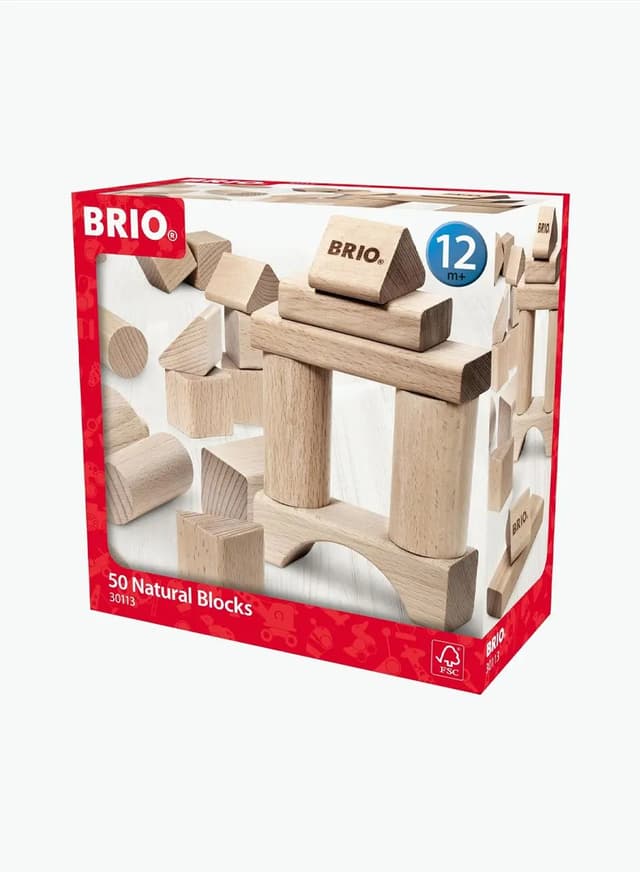 Wooden Educational Game BRIO 50pcs