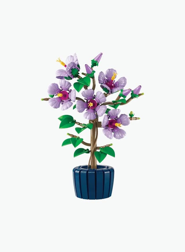 Կառուցողական խաղ Botanical collection «Հիբիսկուս»