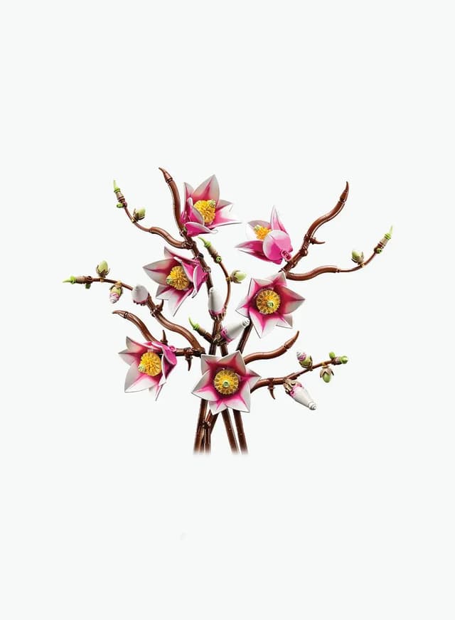 Կառուցողական խաղ Botanical Collection «Մագնոլիայի ճյուղեր»