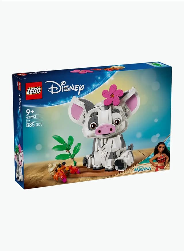 Disney “Pooh” Construction Set