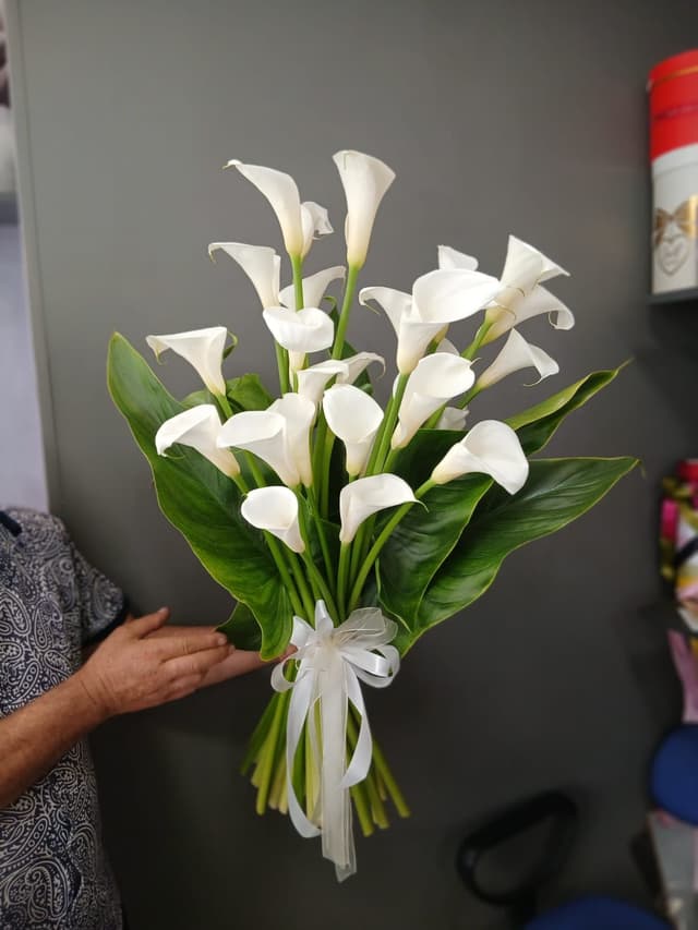 Kala - Flower Lab