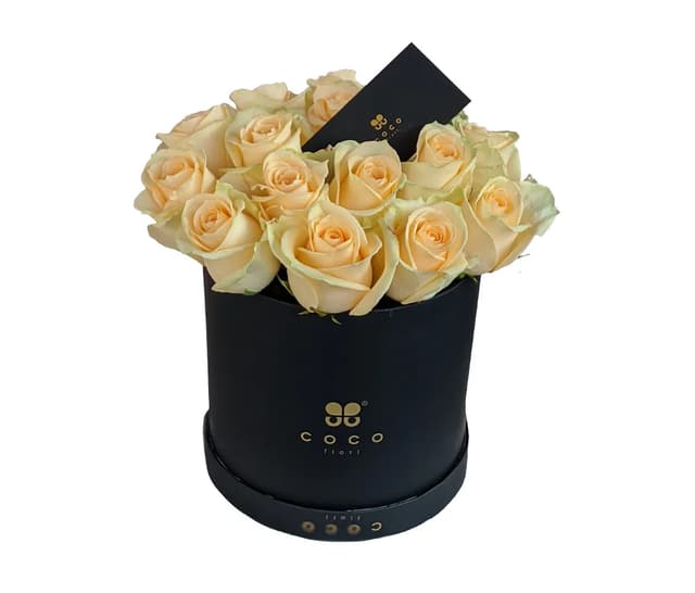 Հավաքածու Vevera (միջին) Coco Fiori