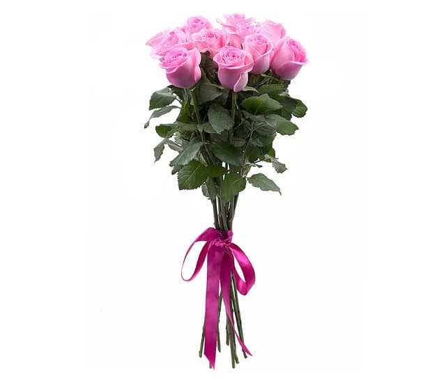Dutch Roses Coral - Coco Fiori