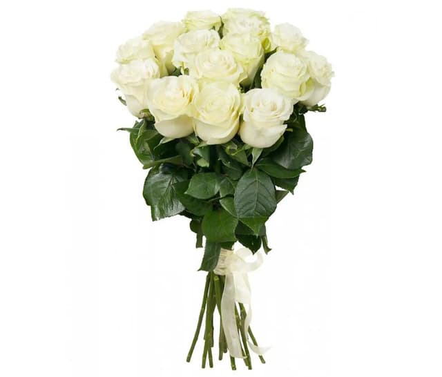 Dutch Roses White 15 pcs - Coco Fiori