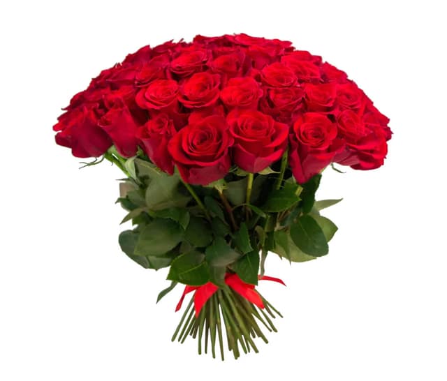 Red Dutch roses 51 pcs - Coco Fiori