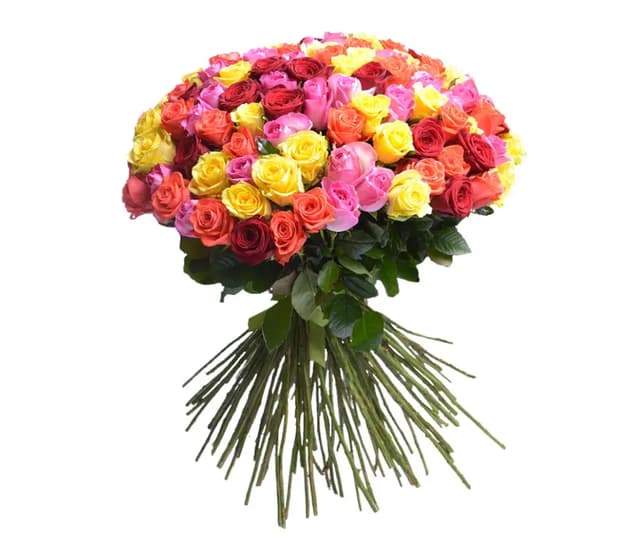 Հոլանդական վարդեր 101 հատ- Coco Fiori