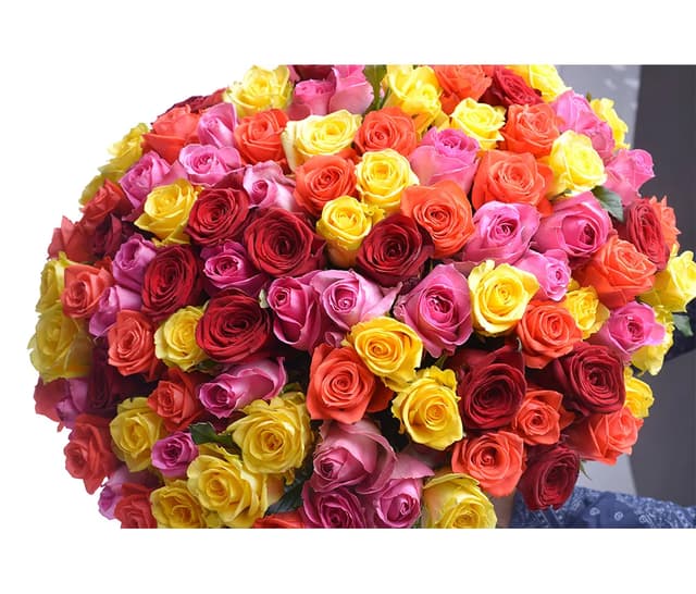Հոլանդական վարդեր 101 հատ-  Coco Fiori