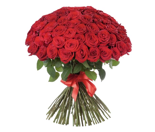 Red Dutch Roses 151 pcs - Coco Fiori