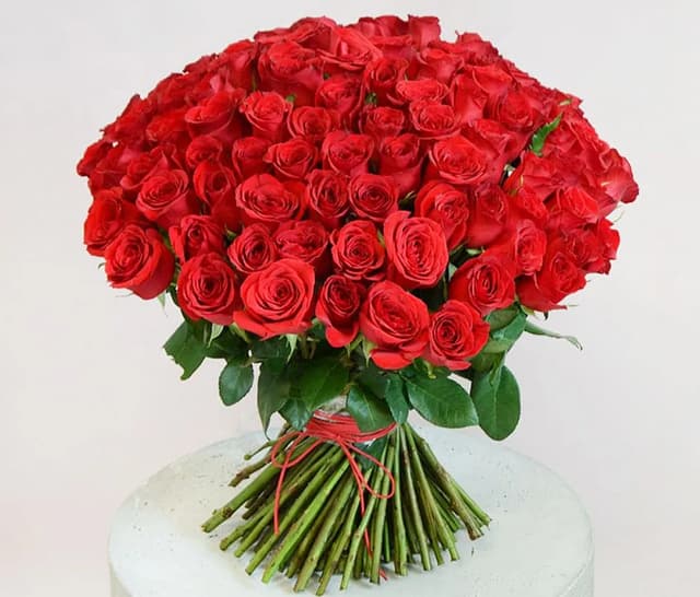 Red Dutch Roses 101 pcs - Coco Fiori