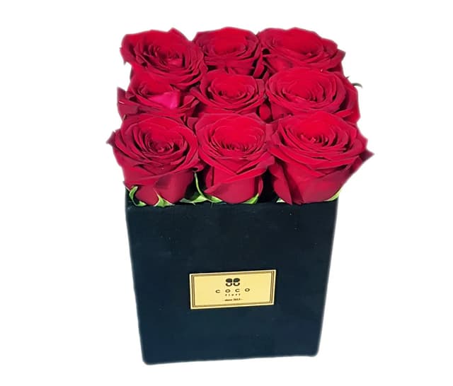 Set Lola Black - Coco Fiori