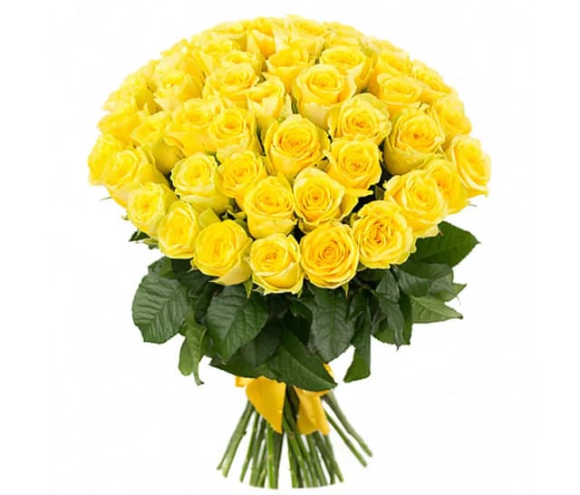 Жёлтые голландские розы 101 шт. - Coco Fiori