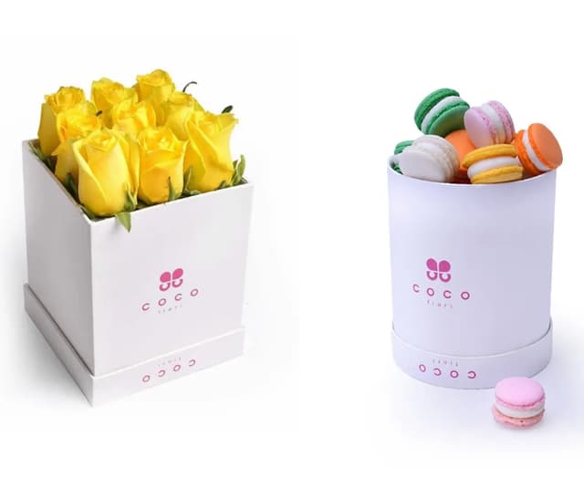 Viva and Macarons Set - Coco Fiori