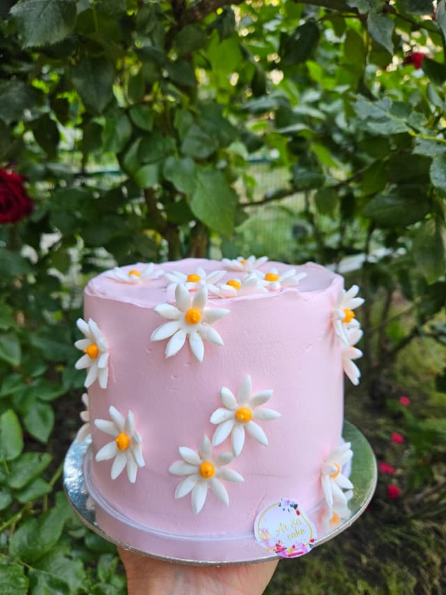 Տորթ "Երիցուկ"   8 անձի համար -  Arsa cake