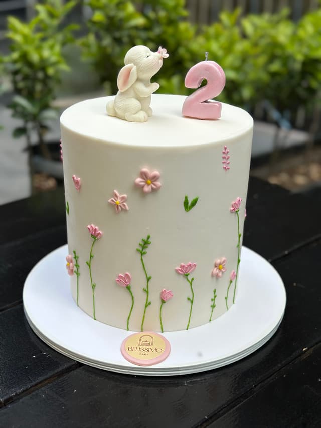 Cake for 15 people - Belissimo cake