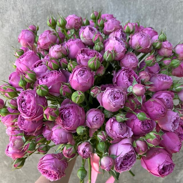 Bouquet of 21 bush peony-shaped roses