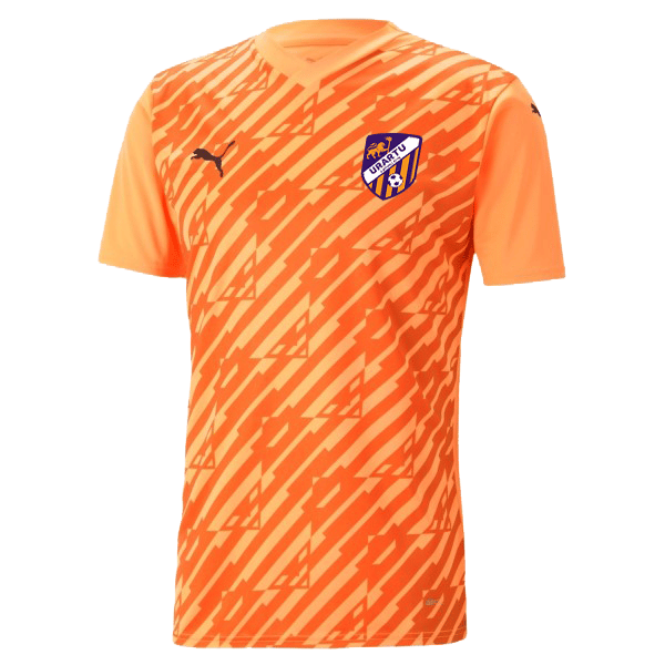 Home jersey of the main team 24/25 /L/ - Urartu FC