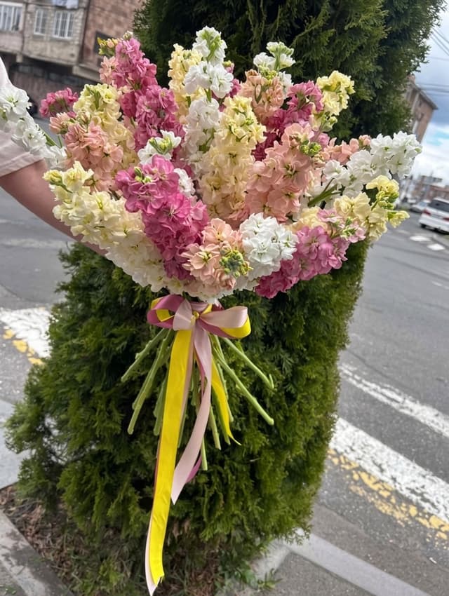 Ծաղկեփունջ Մատիոլա-  FIORI FLOWERS