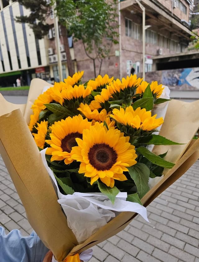 Sunflowers - Aura Flowers