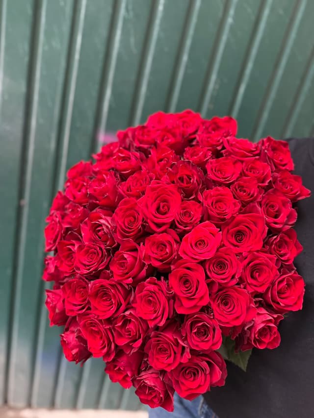 101 roses - Diana Flowers