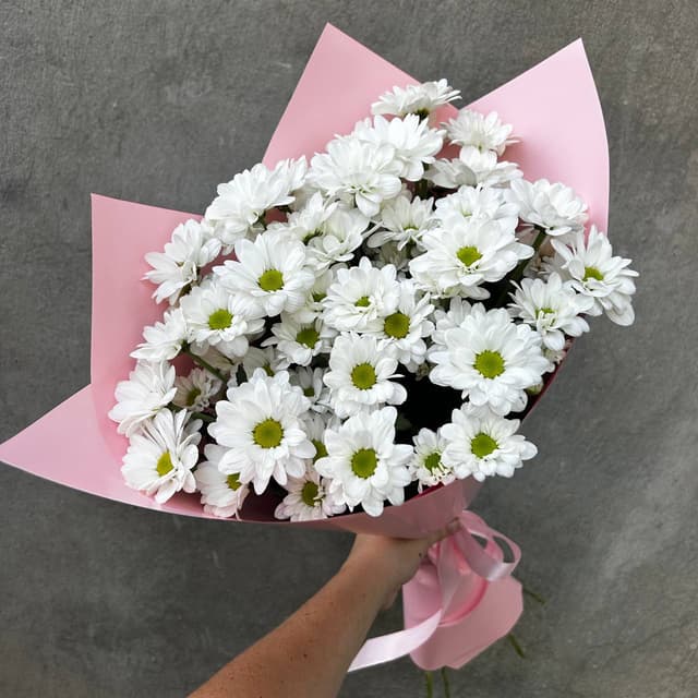 Chrysanthemum bush (daisies)