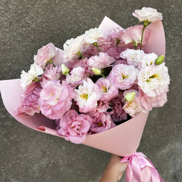 Pink lisianthus (eustoma)