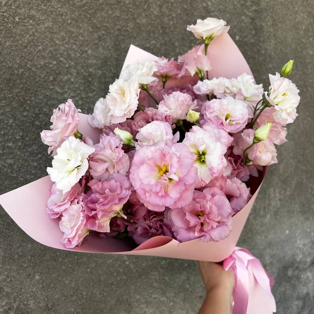 Pink lisianthus (eustoma)