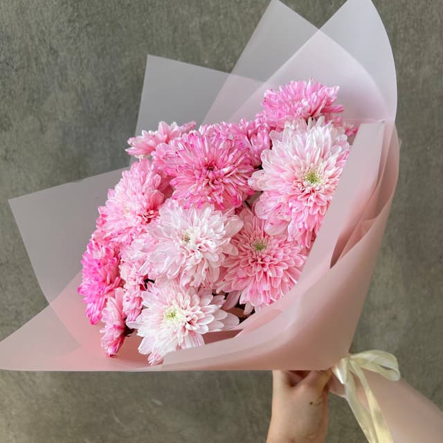 Pink bush chrysanthemums