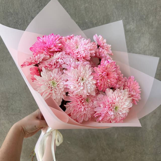 Pink bush chrysanthemums