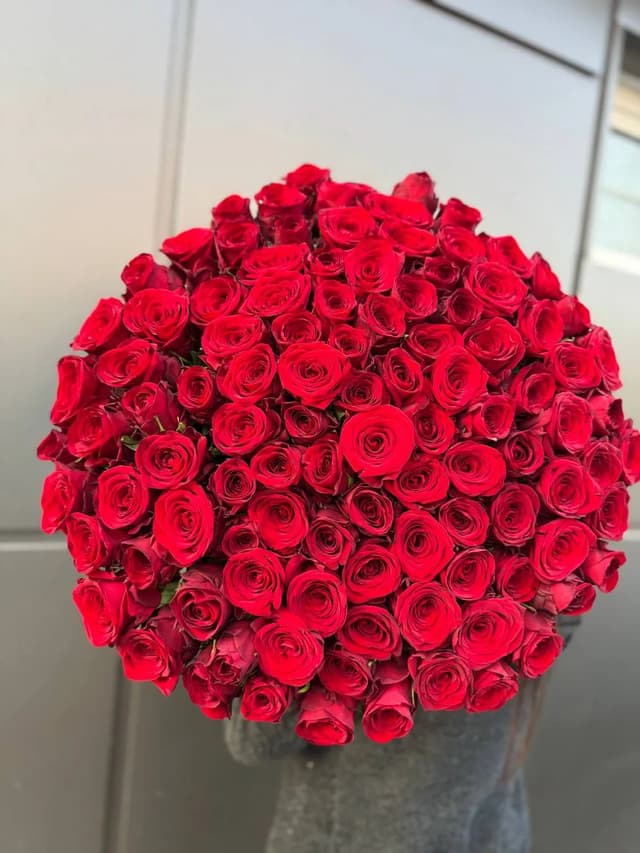 Վարդեր Հոլանդական -  La Flor
